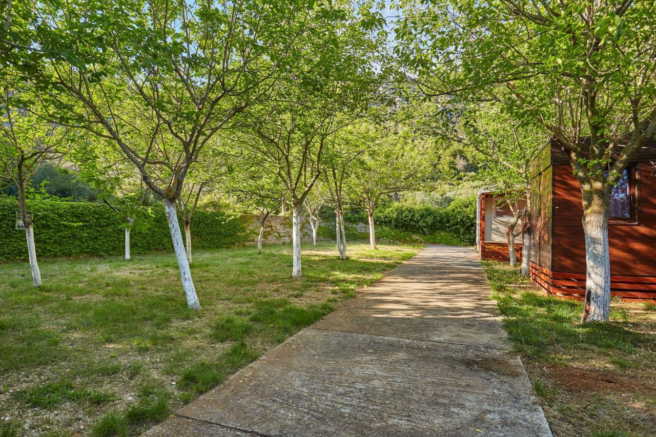 Mobile Homes Village "Mungos" Mljet Babino Polje Exterior foto